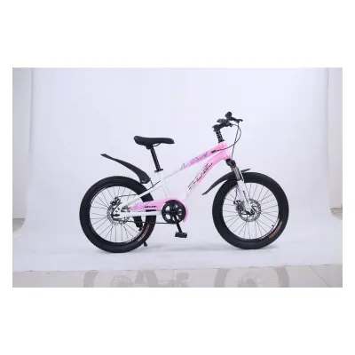 18'' BDF Bicycle