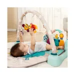 Hola 4 in 1 Design Musical Activity Play Mat