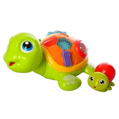 Hola Interactive Turtle