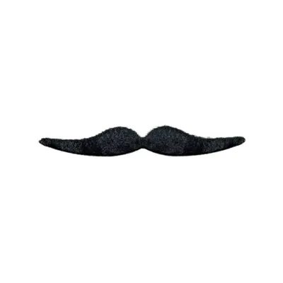 Dali Moustache