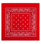 Red Bandana