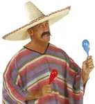 Maxi Decorated Sombrero