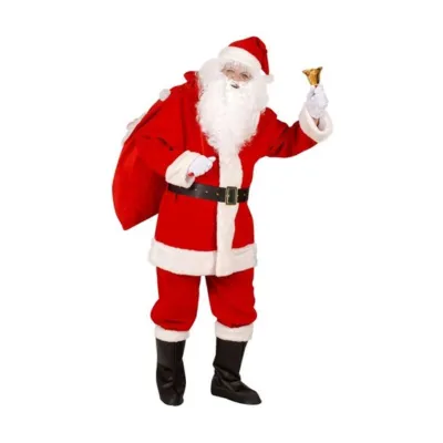 Professional Santa Claus