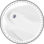 Cam Bollicina - Bianco