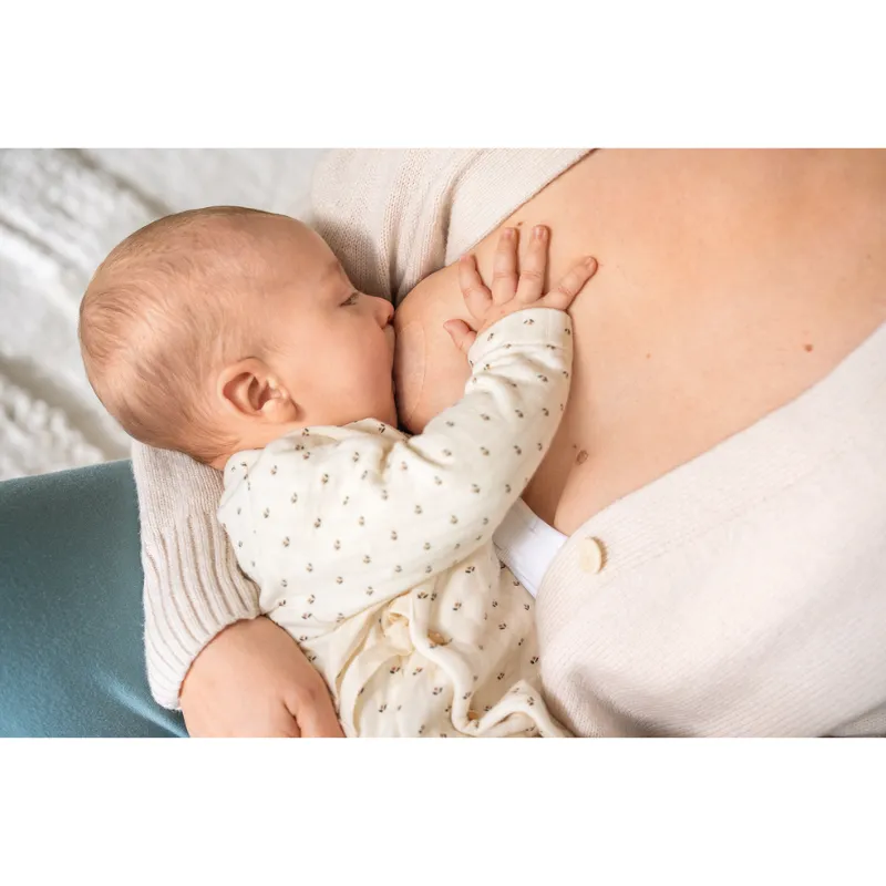 Medela Contact Nipple Shields Size L