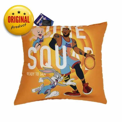 Warner Bros Decorative Pillow 