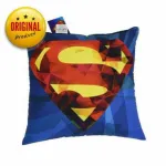 Warner Bros Decorative Pillow 