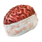Headpiece Brain Eva
