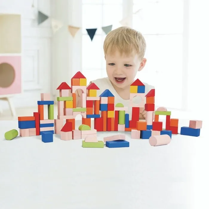 Classic World Toys 100 Blocks