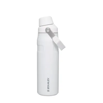 Stanley Iceflow Bottle 20 oz , Polar