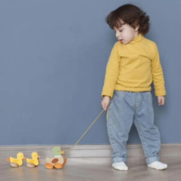 Pull Padding Duck