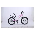 18'' BDF Bicycle
