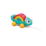 Hola Rainbow Chameleon