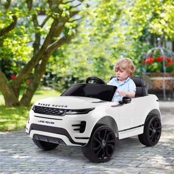 Electric Cars