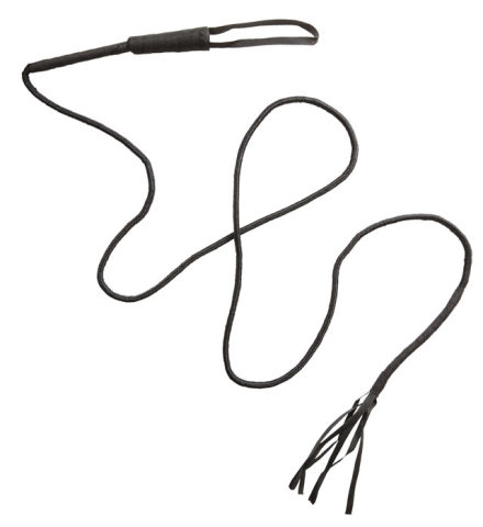 Whips