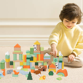 Building & Construction Toys