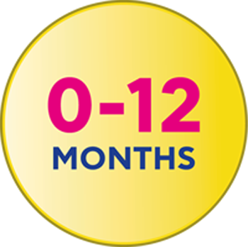 0 - 12 months